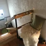 Sanmari_forest Chalet